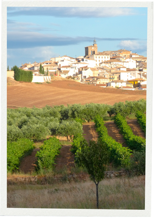 Private Navarra Wine