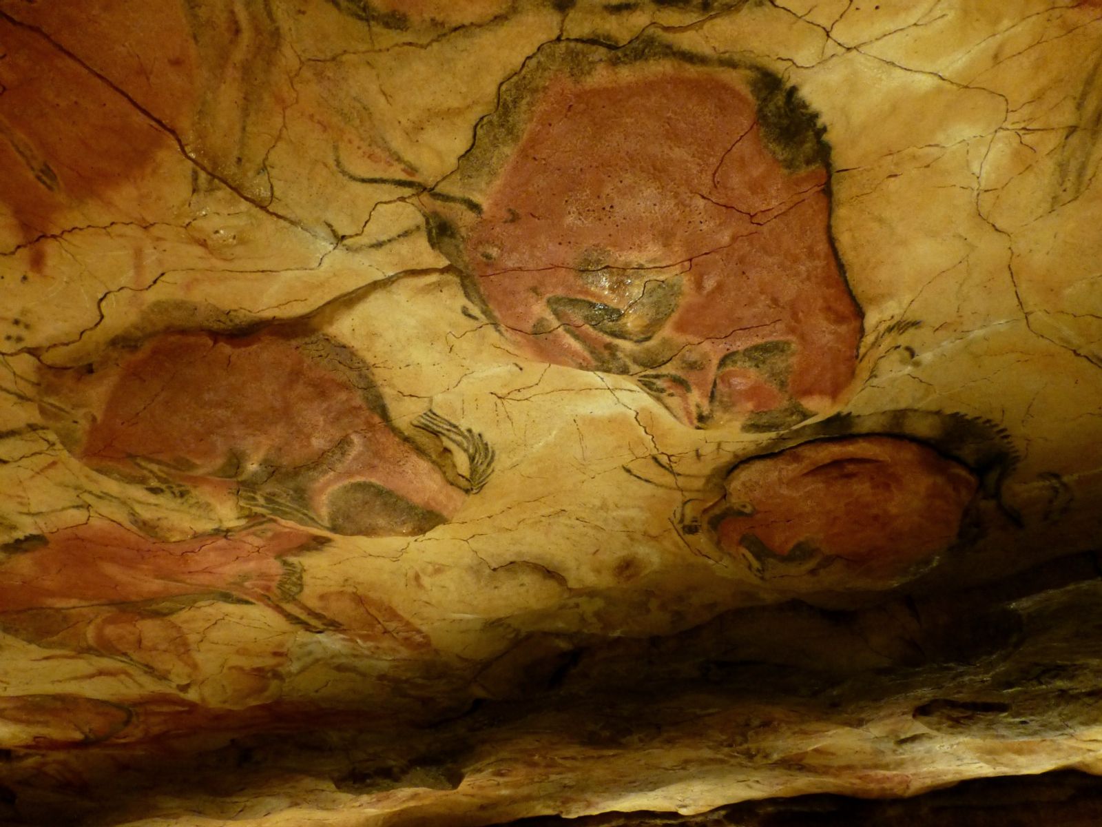 Full day excursion to visit Prehistoric Caves in Asturias