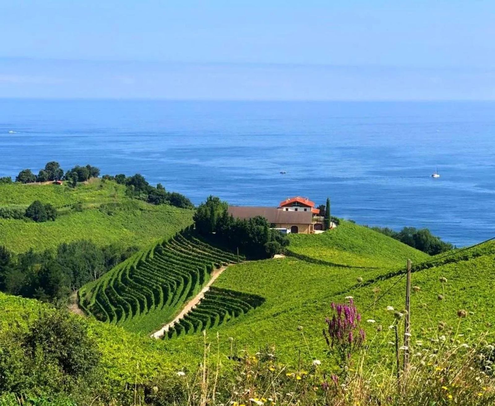 Guetaria & Txacoli half day wine excursion