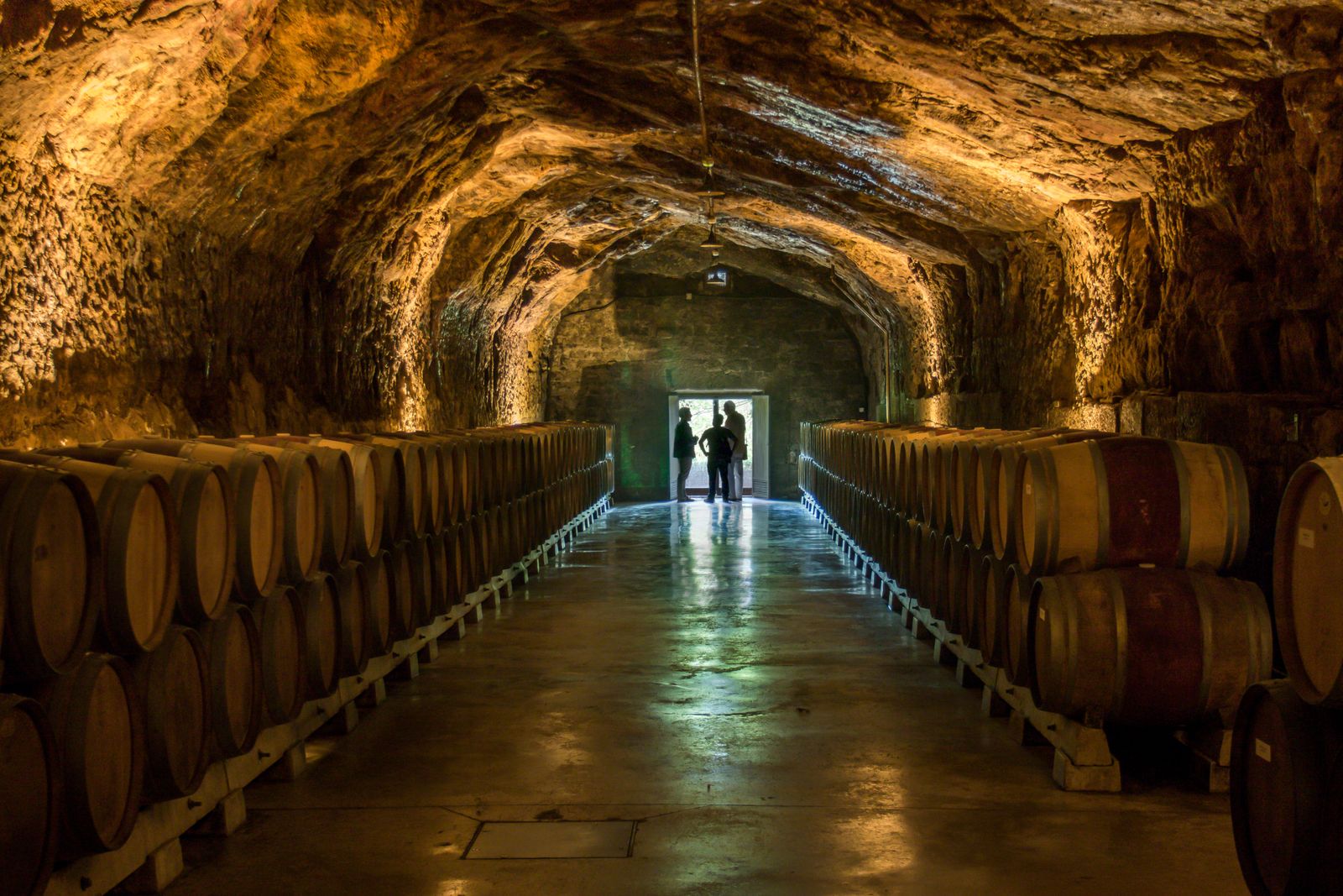 La Rioja Highlights & Winery Experience