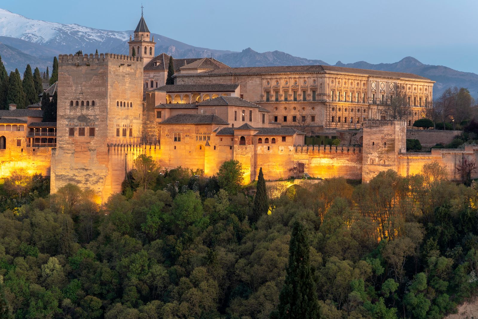 Guided Tour to the Alhambra