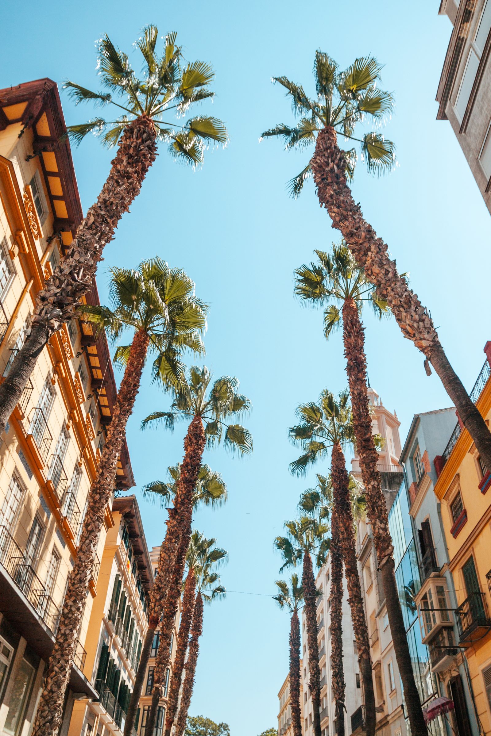 Guided Walking Tour to Malaga