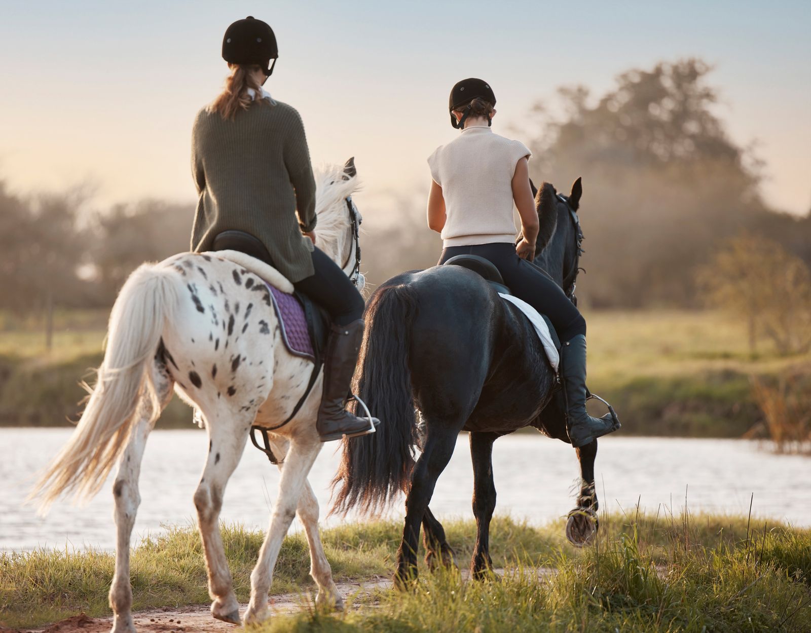 Alqueva Horseback Riding Experience