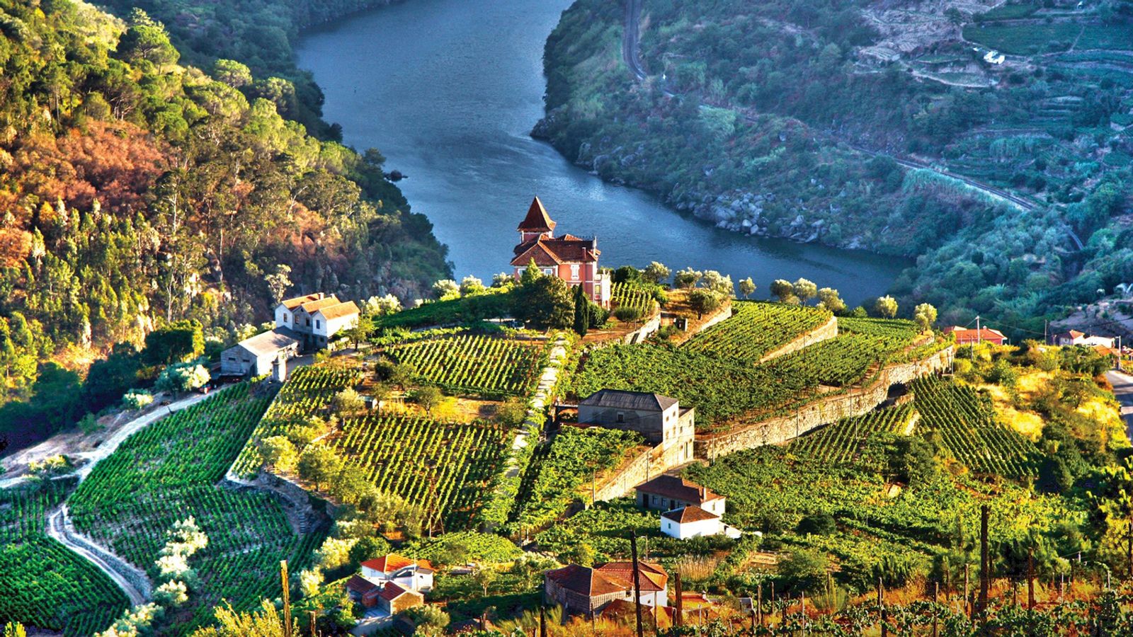 Douro Valley