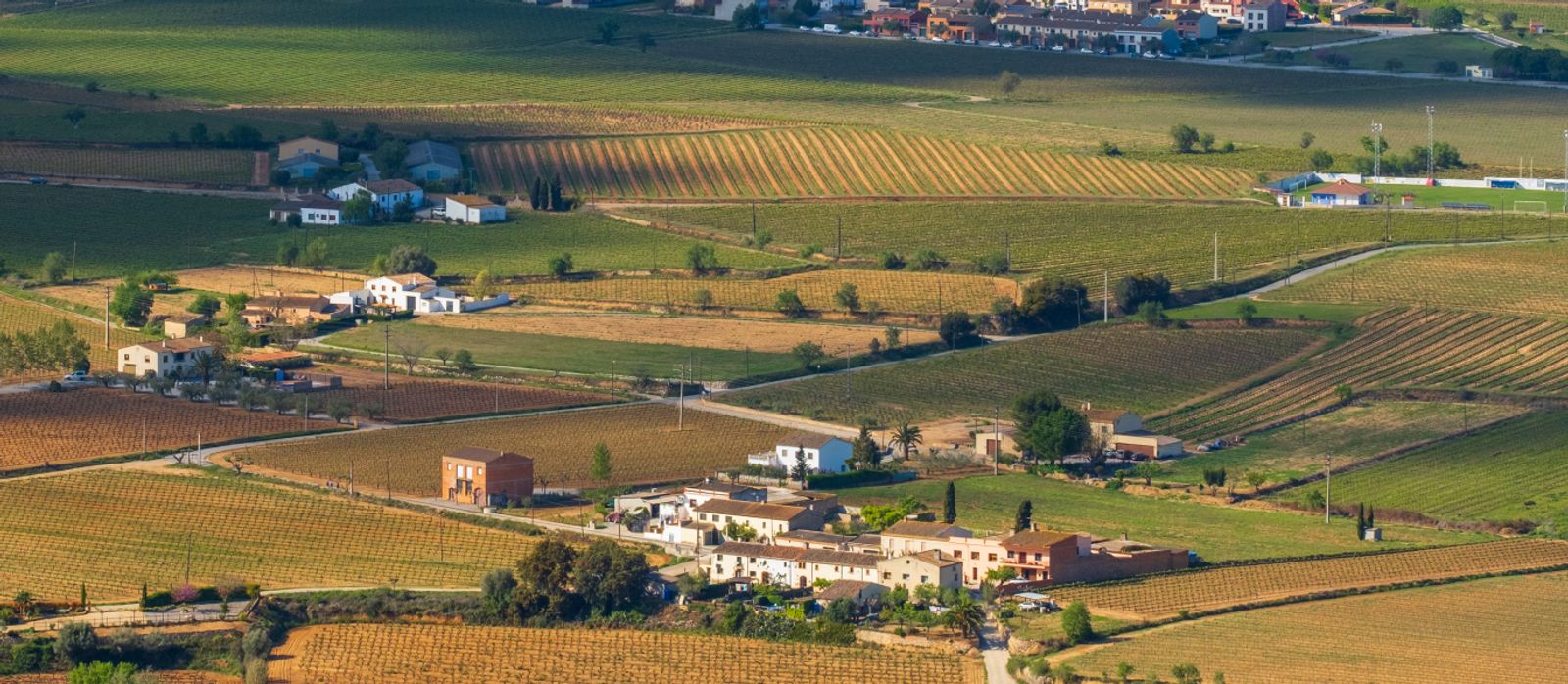 Penedés