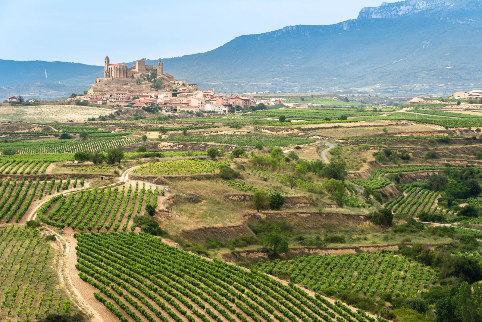 Full Day Excursion in La Rioja