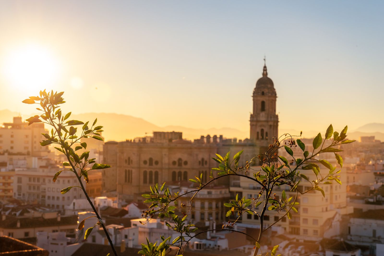 Málaga Old Town: History, Art & Flavors