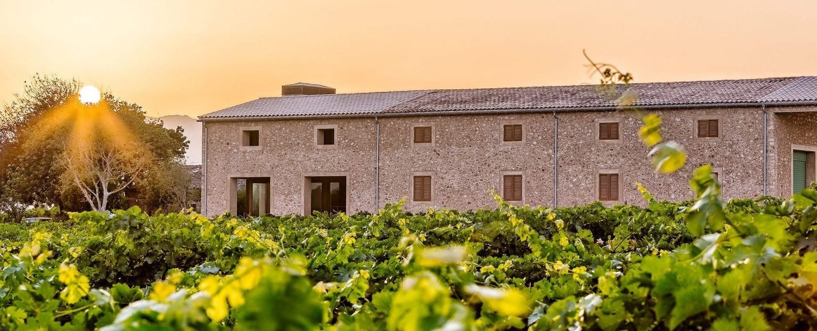 Boutique wineries in Mallorca