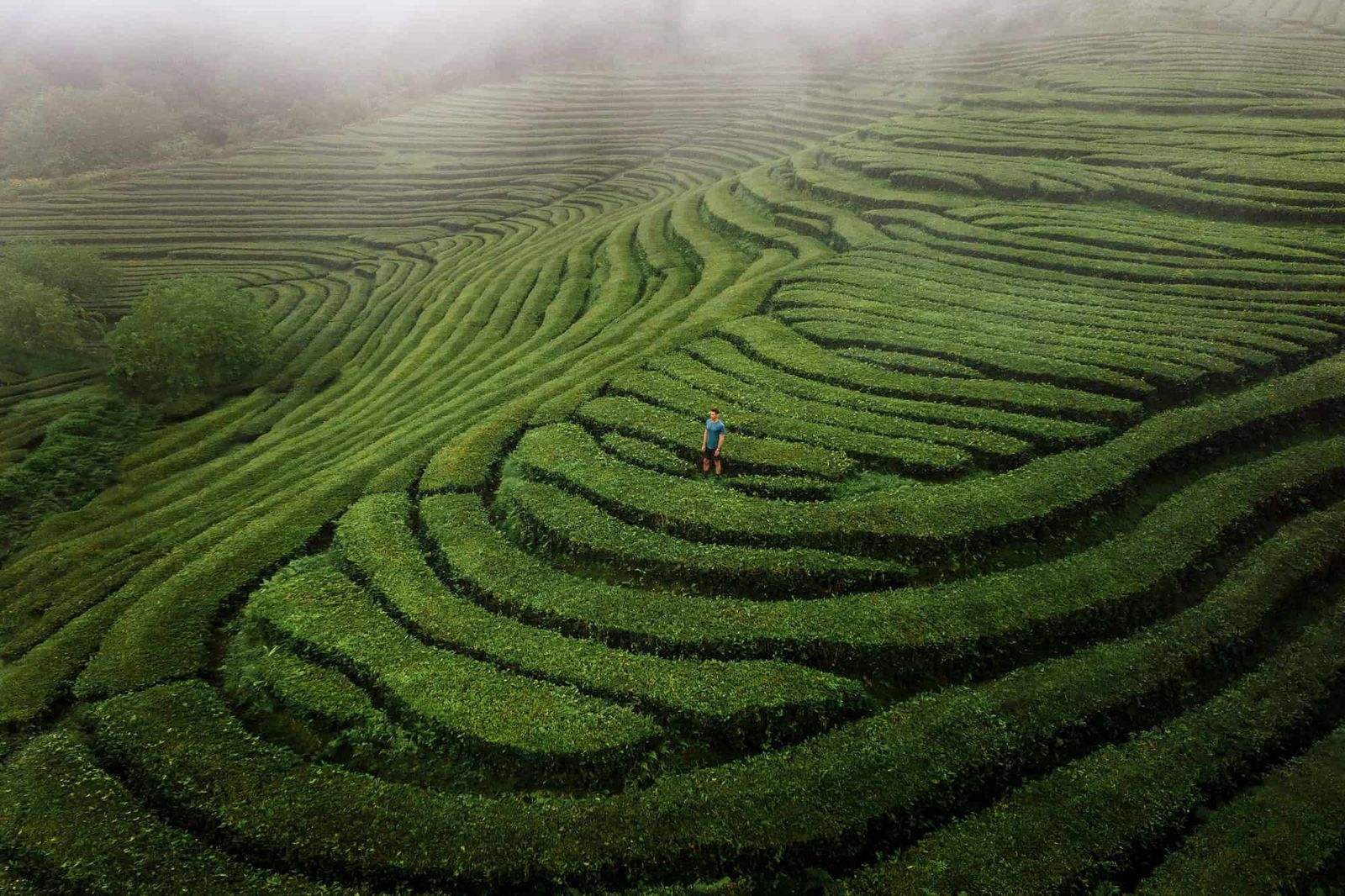 Sete Cidades Tour w/Farm to the table experience