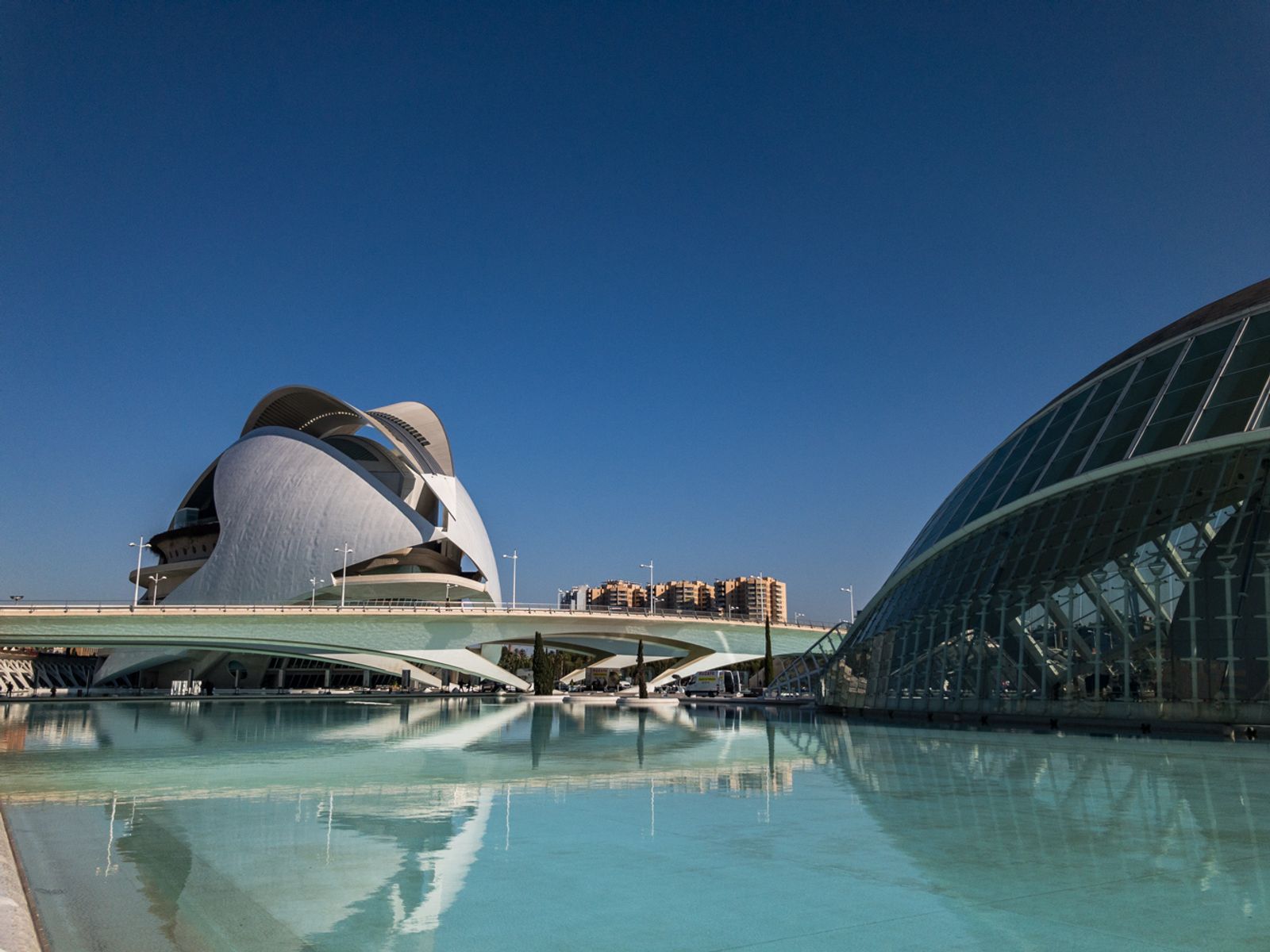 Half Day Valencia for families’ tour: Calatrava Architecture, Oceanographic Marine Park & Valencia Bioparc